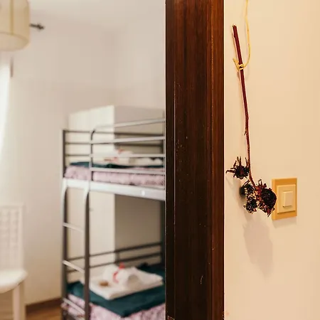 Charming For Big Groups In Apartment *